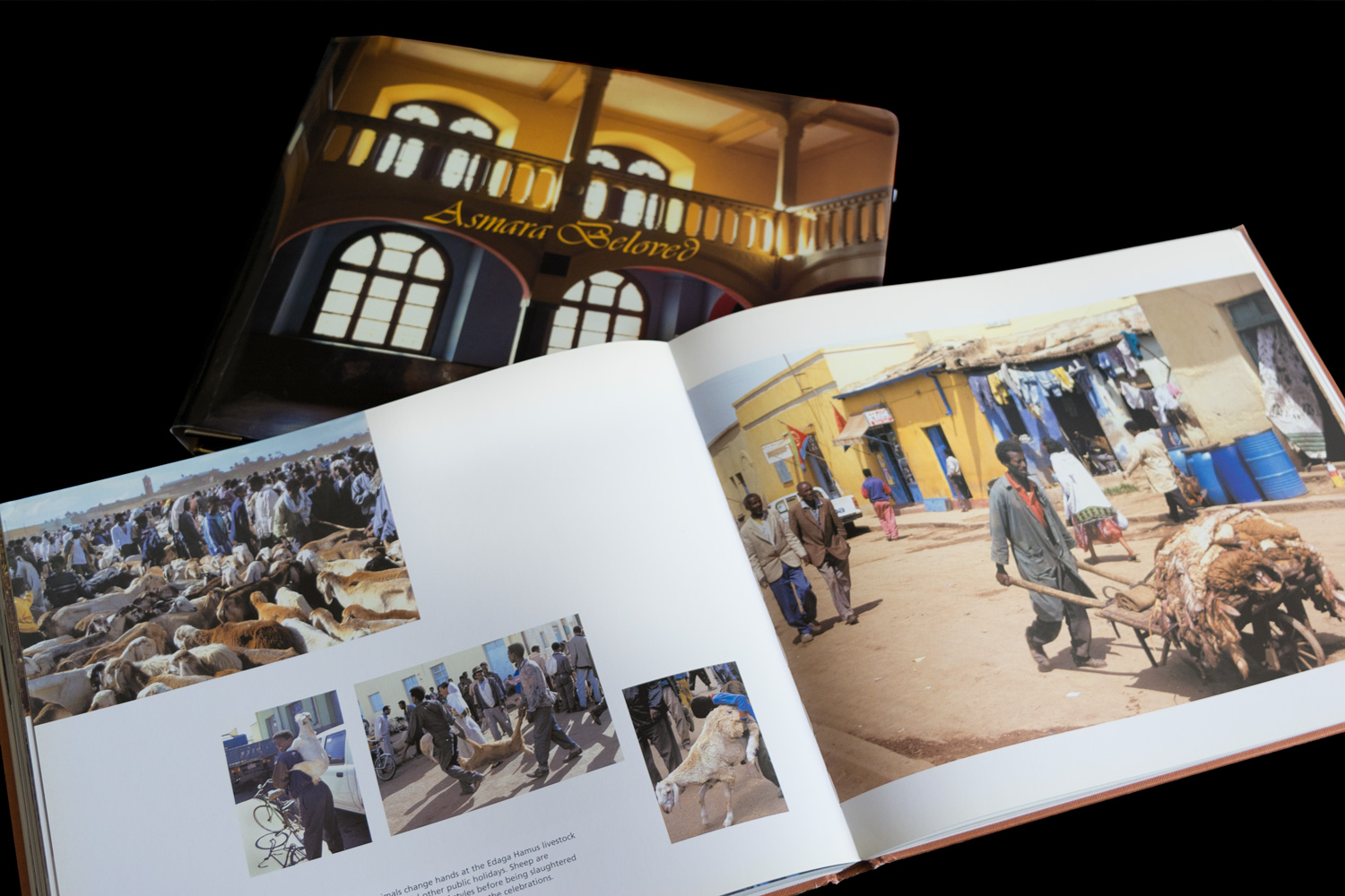 Design sample of Asmara Beloved picture book