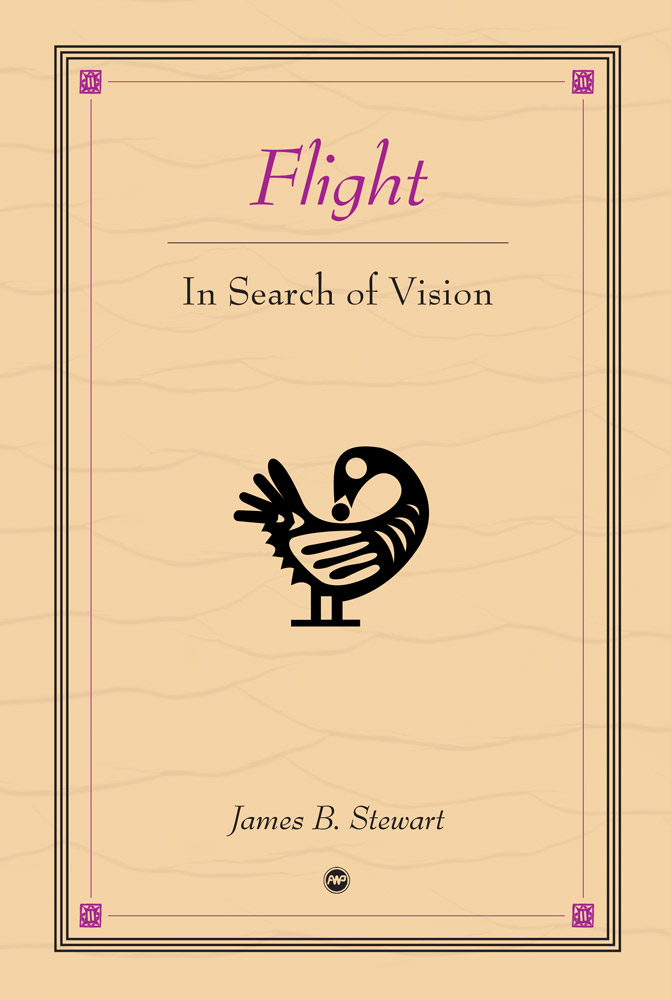 Flight: In Search of Vision